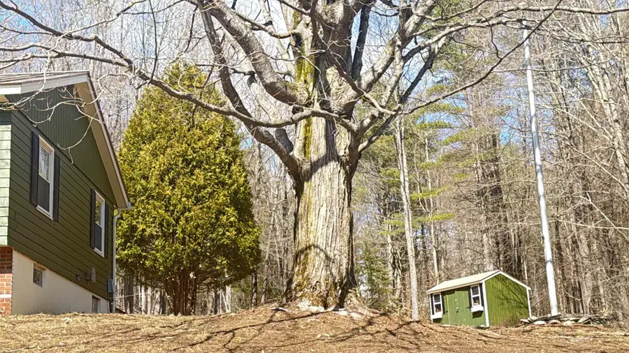 11 Juniper Hill Road, Springfield, VT 05156 - #3