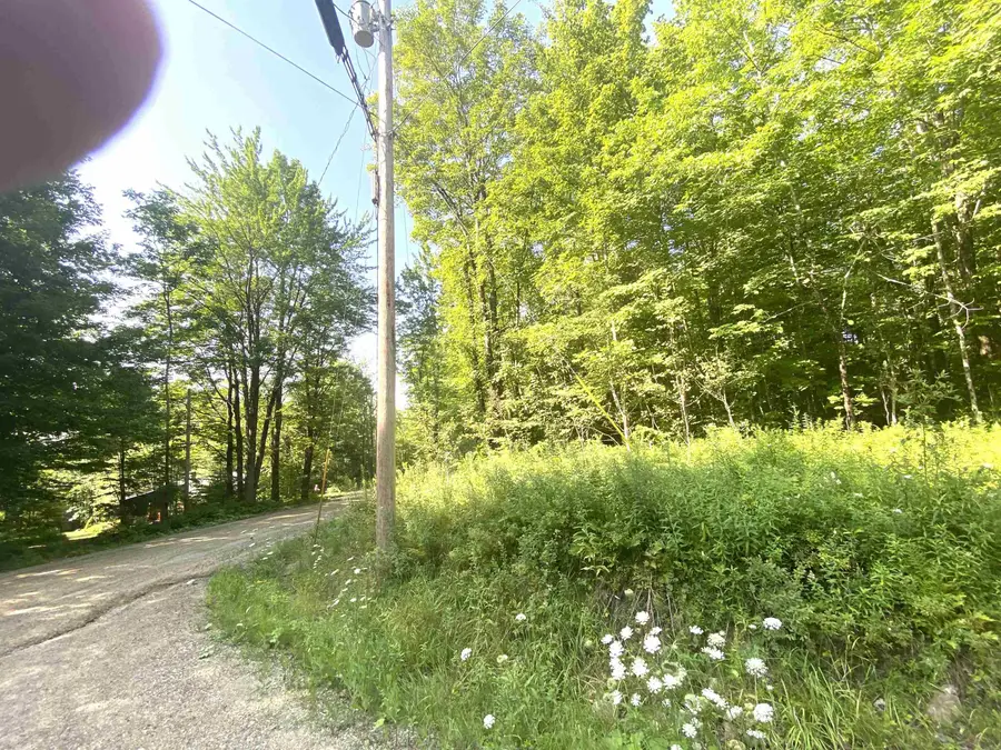 00 North Branch Road, Ripton, VT 05766 - #2