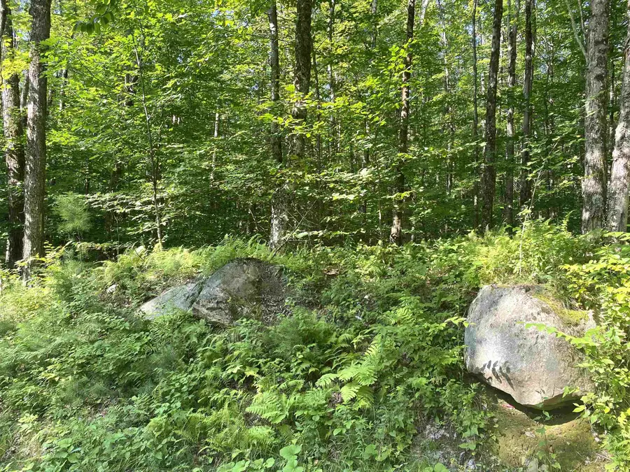 00 North Branch Road, Ripton, VT 05766 - #3