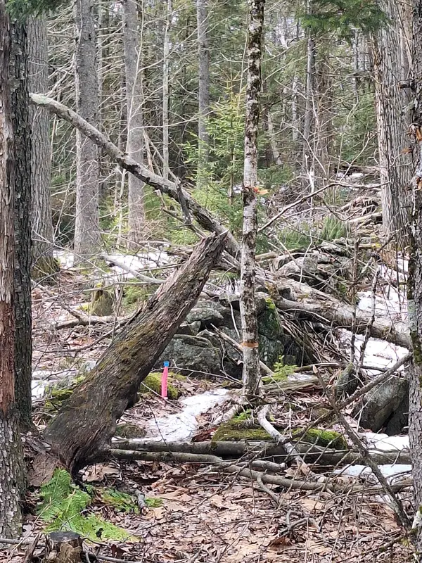 00 Rogers Road, Alstead, NH 03602