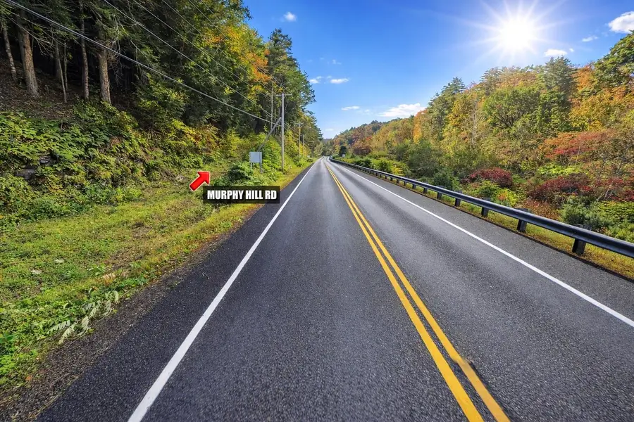 Lot 9-29 Murphy Hill Road, Alstead, NH 03602 - #2