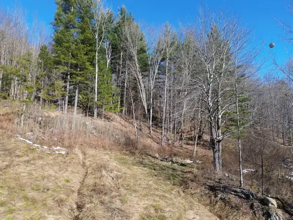 00 Bent Birch Lane #3, Warren, VT 05674