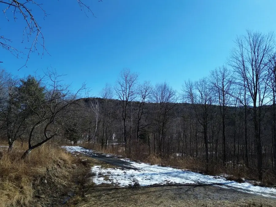 00 Bent Birch Lane #3, Warren, VT 05674 - #2