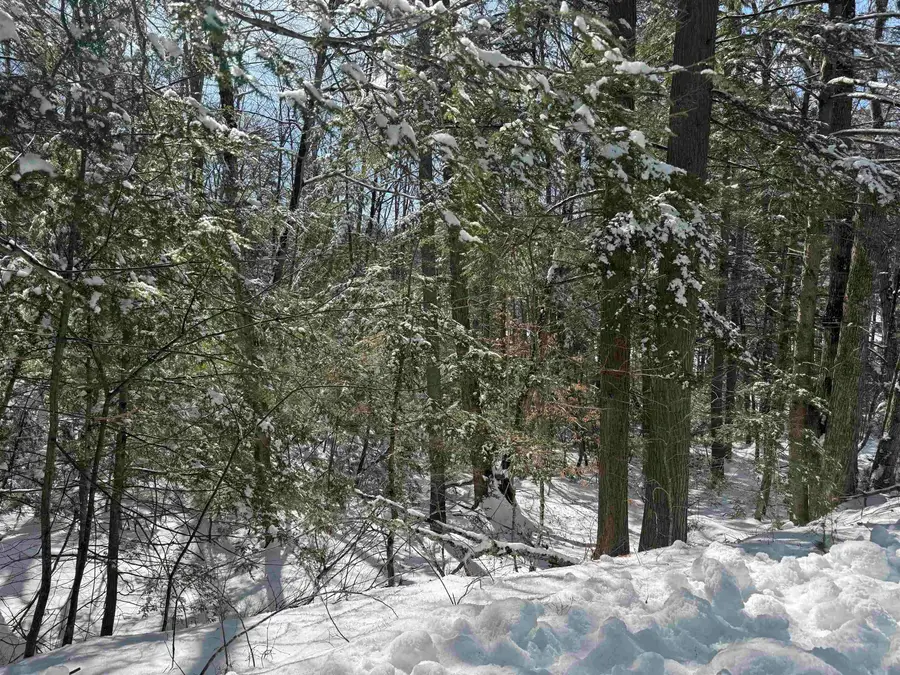 224 Valley Road, Ossipee, NH 03814 - #3