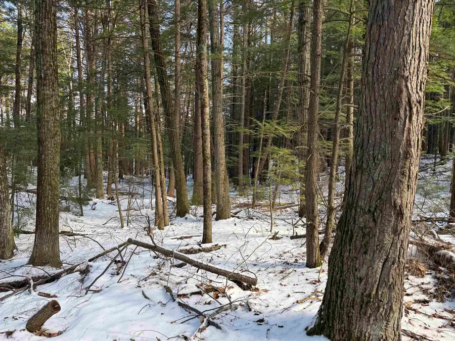 1 Shady Lane, New Hampton, NH 03256 - #3