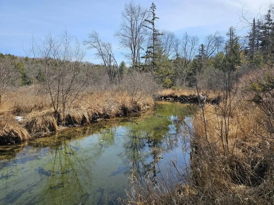 00 Rt 9, Sullivan, NH 03445 - #1