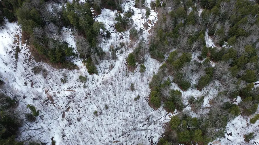 TBD Fox Drive, Gilmanton, NH 03237 - #3