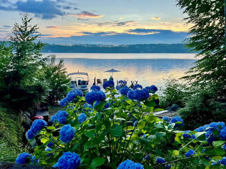 136 Black Brook Road, Meredith, NH 03253 - #2