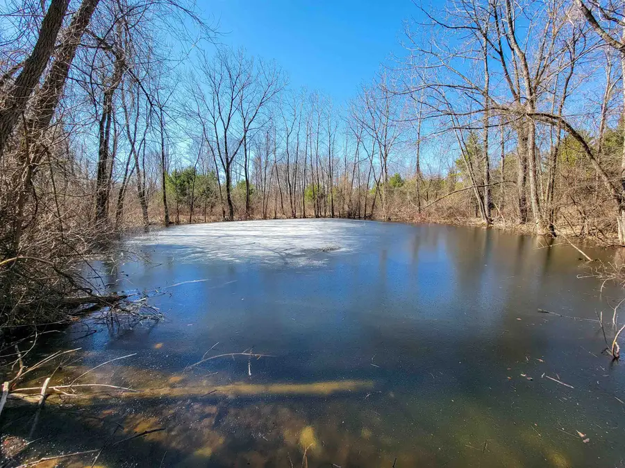 399 Bard Road, Bennington, VT 05201 - #2