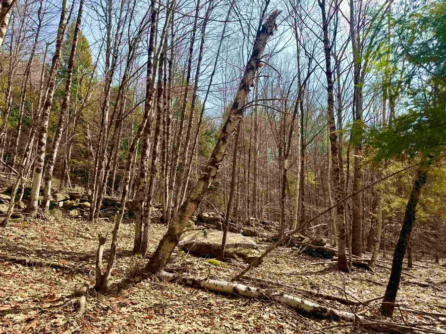 0 Green Mountain Turnpike, Chester, VT 05143 - #2