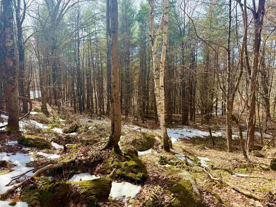 0 Green Mountain Turnpike, Chester, VT 05143 - #3