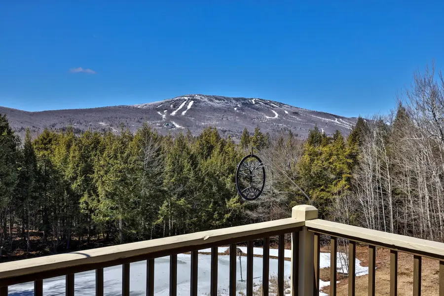 39 Wallis View Lane, Ludlow, VT 05149 - #2