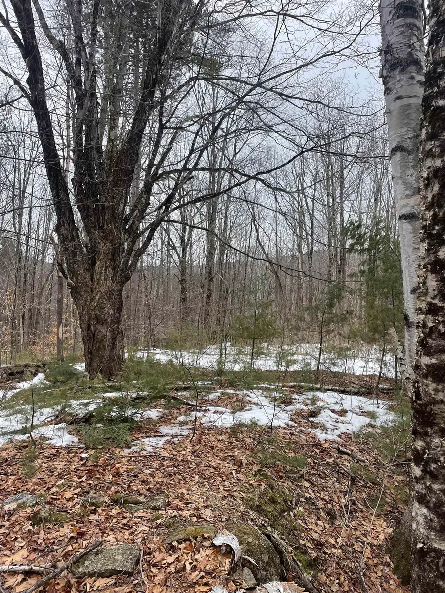Lot 13-9 E Washington Road, Washington, NH 03280 - #3