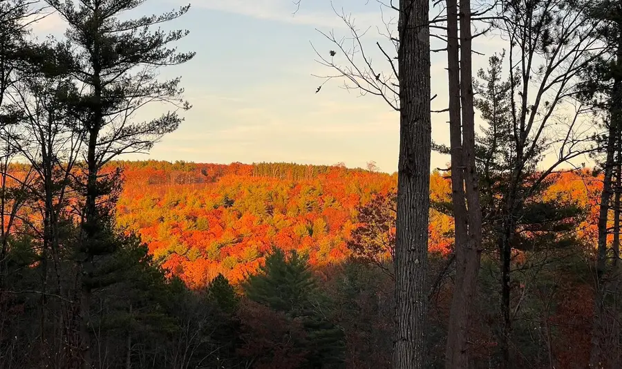 17 Todd Road, Francestown, NH 03043 - #2