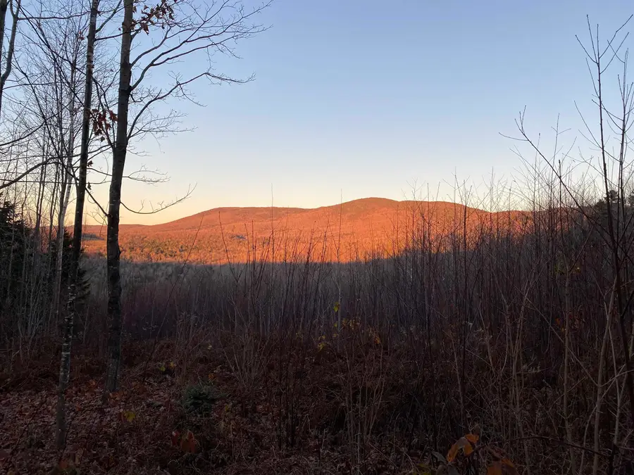 0 Joanne Drive, Burke, VT 05832 - #2