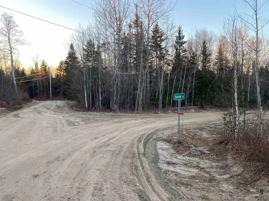 0 Joanne Drive, Burke, VT 05832 - #3