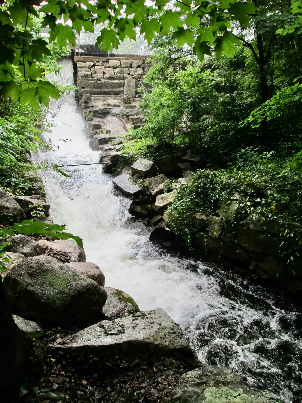 119 Moultonville Road, Ossipee, NH 03814 - #1