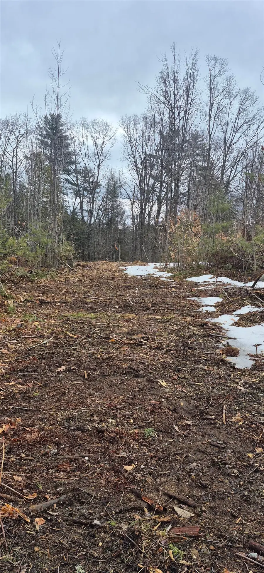 Poverty Plain Road #Map 7 Lot 100, Hillsborough, NH 03244 - #2