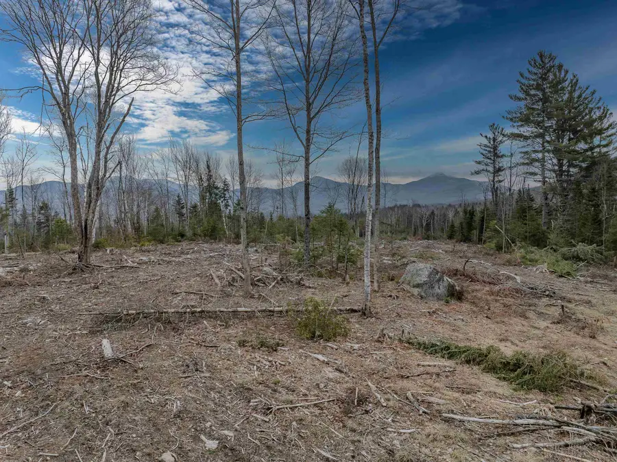 0000 Ridge Road #42, Bethlehem, NH 03574 - #3