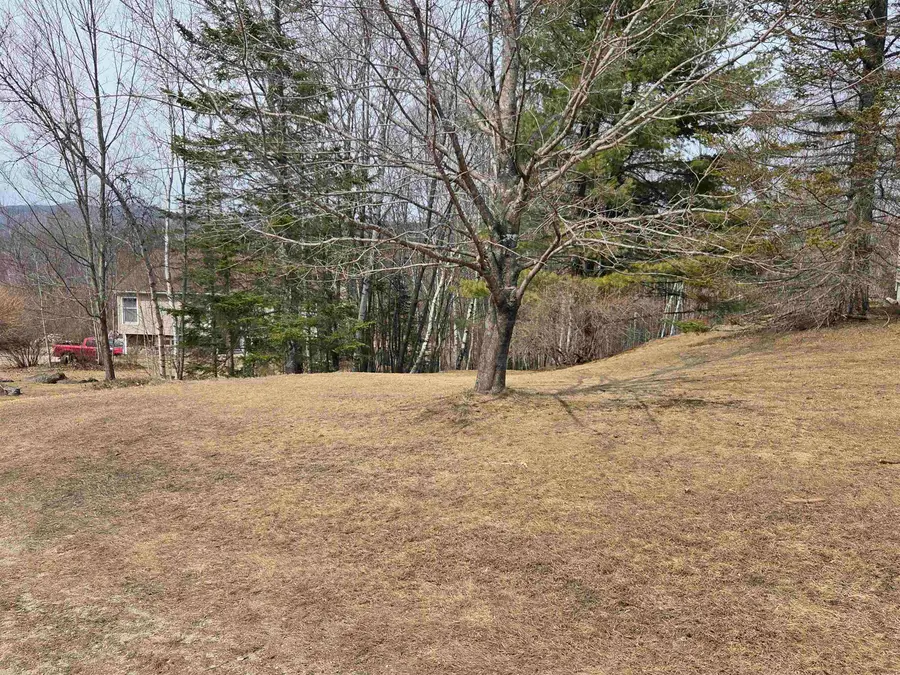 450 Upper Birch Drive, Bristol, NH 03222 - #2