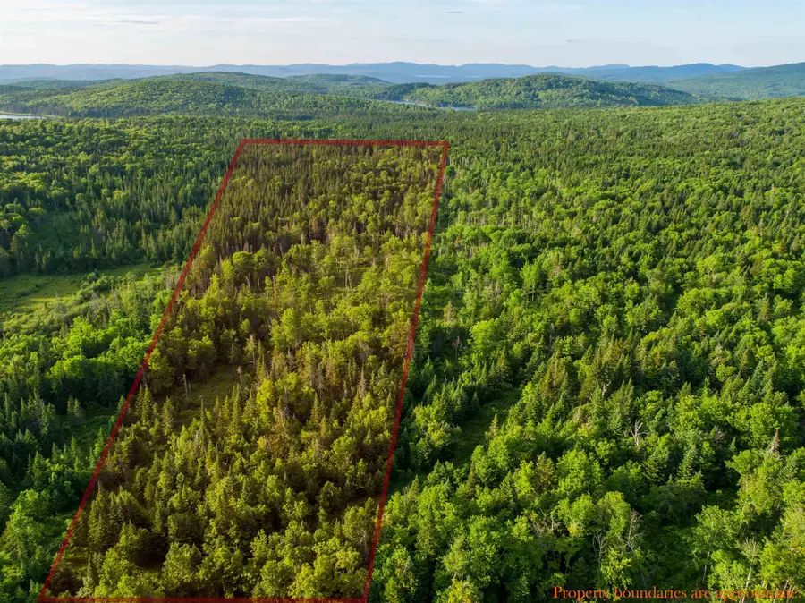 7 Diamond Pond Road #B, Stewartstown, NH 03576 - #2