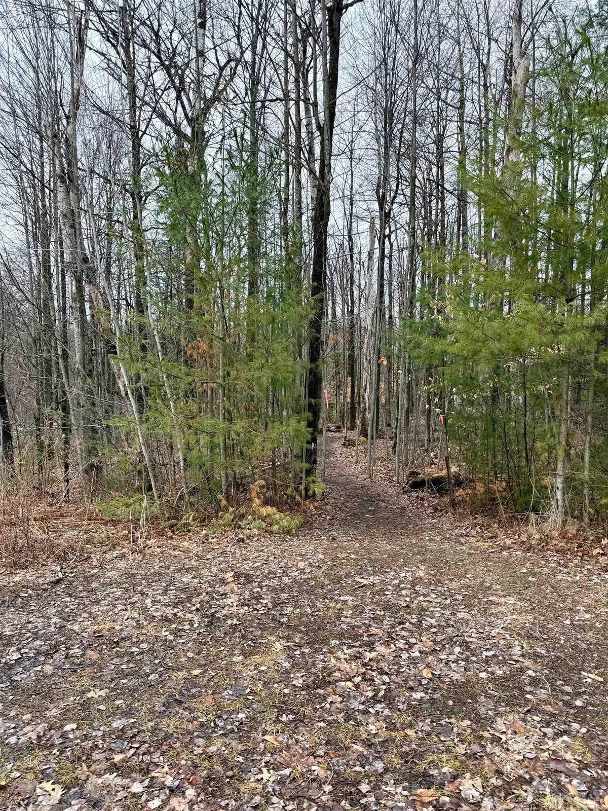 TBD Cherry Lane Extension, Newport, VT 05855 - #1