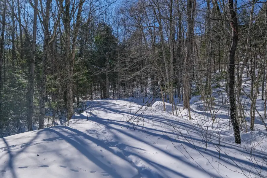 0 Woods Road West #Lot 33, Ludlow, VT 05149 - #3