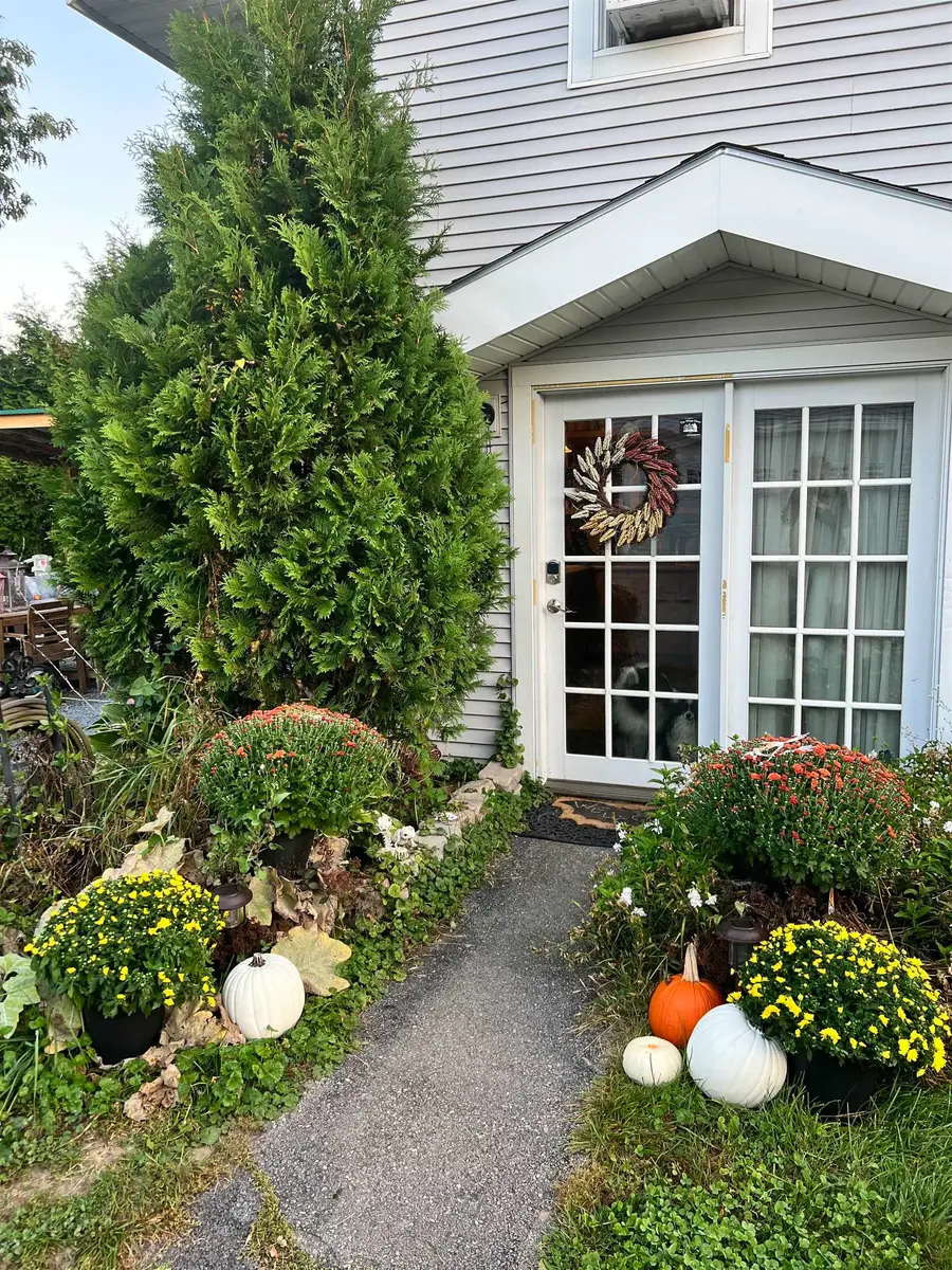 217 Ferry Road, Ferrisburgh, VT 05491 - #2