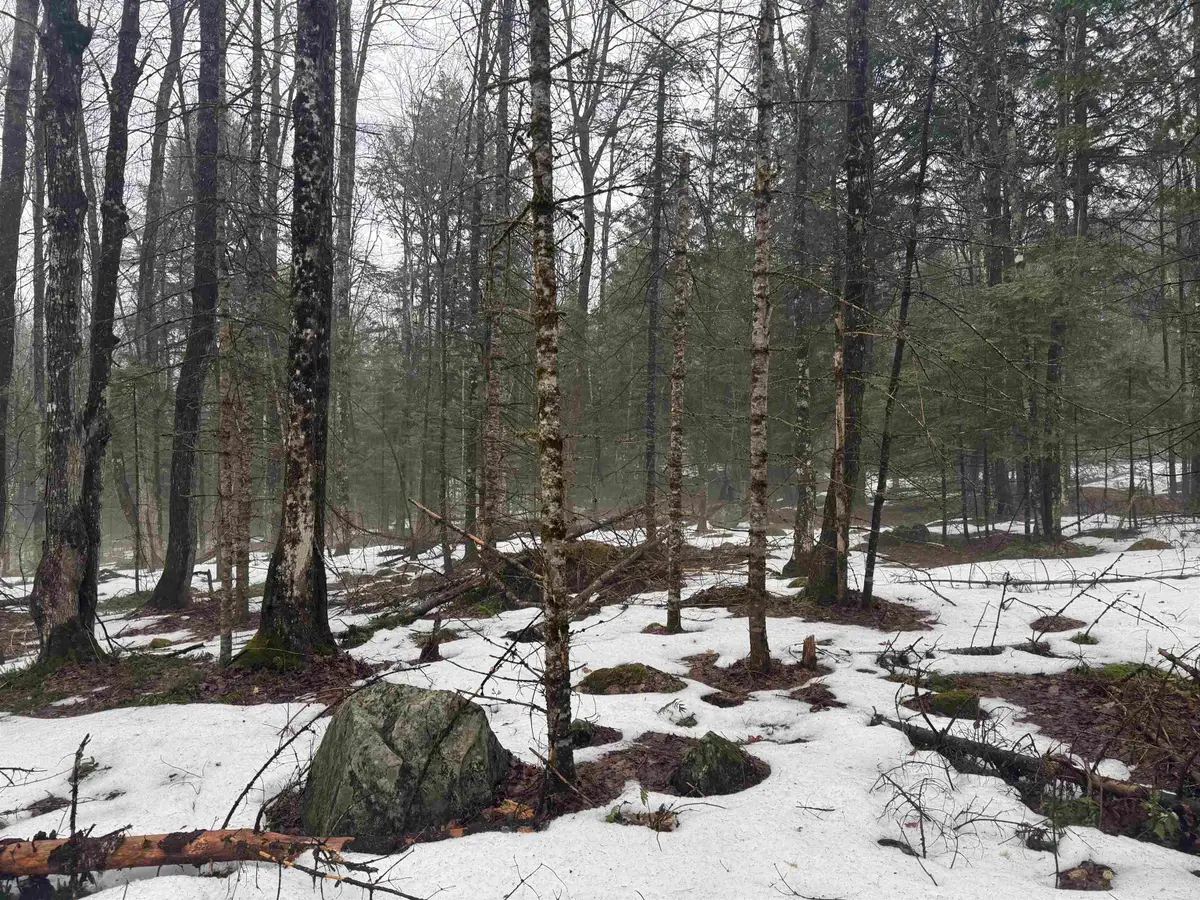 3826 Leighton Hill Road, Wells River, VT 05081 - #1