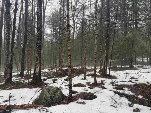 3826 Leighton Hill Road, Newbury, VT 05081