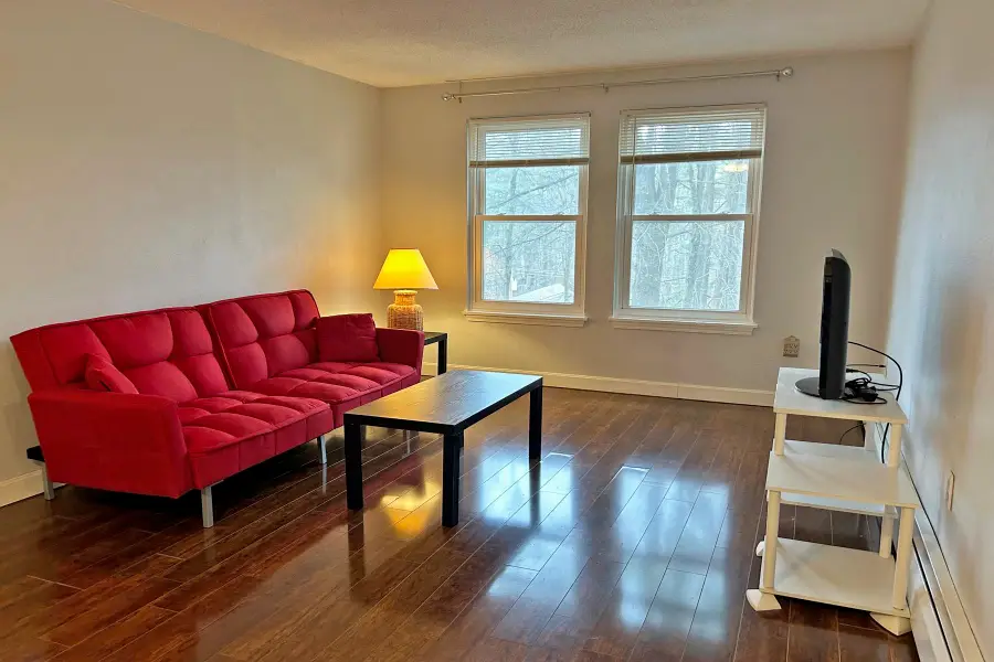 20 Wolf Road #A8, Lebanon, NH 03755 - #3