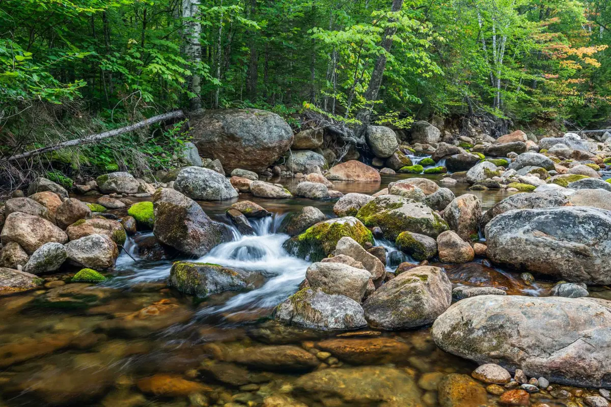 20 Meloon Road, Jackson, NH 03846 - #1