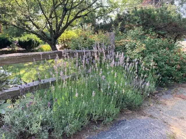 189 Leavitt Road, Belmont, NH 03220 - #3