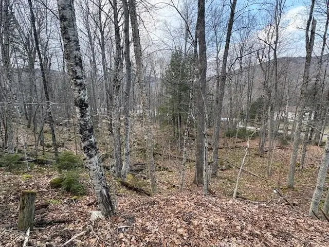 Lot 8 Barrows Towne Road, Killington, VT 05751 - #3