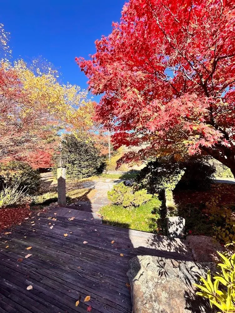 12 S Bow Road, Bow, NH 03304 - #3