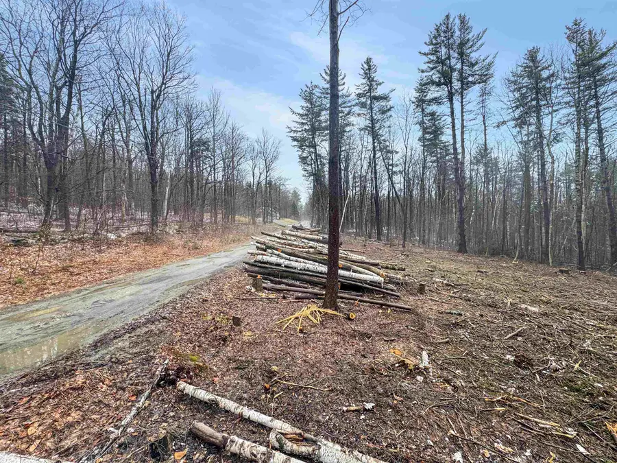 0 Hunt Road, Wardsboro, VT 05355 - #3