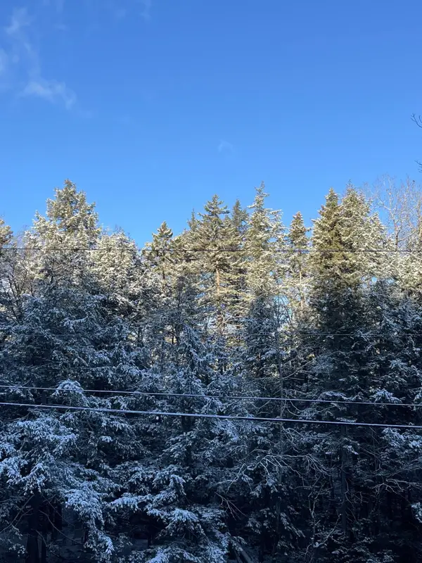 997 Stratton Arlington Road, Stratton, VT 05360