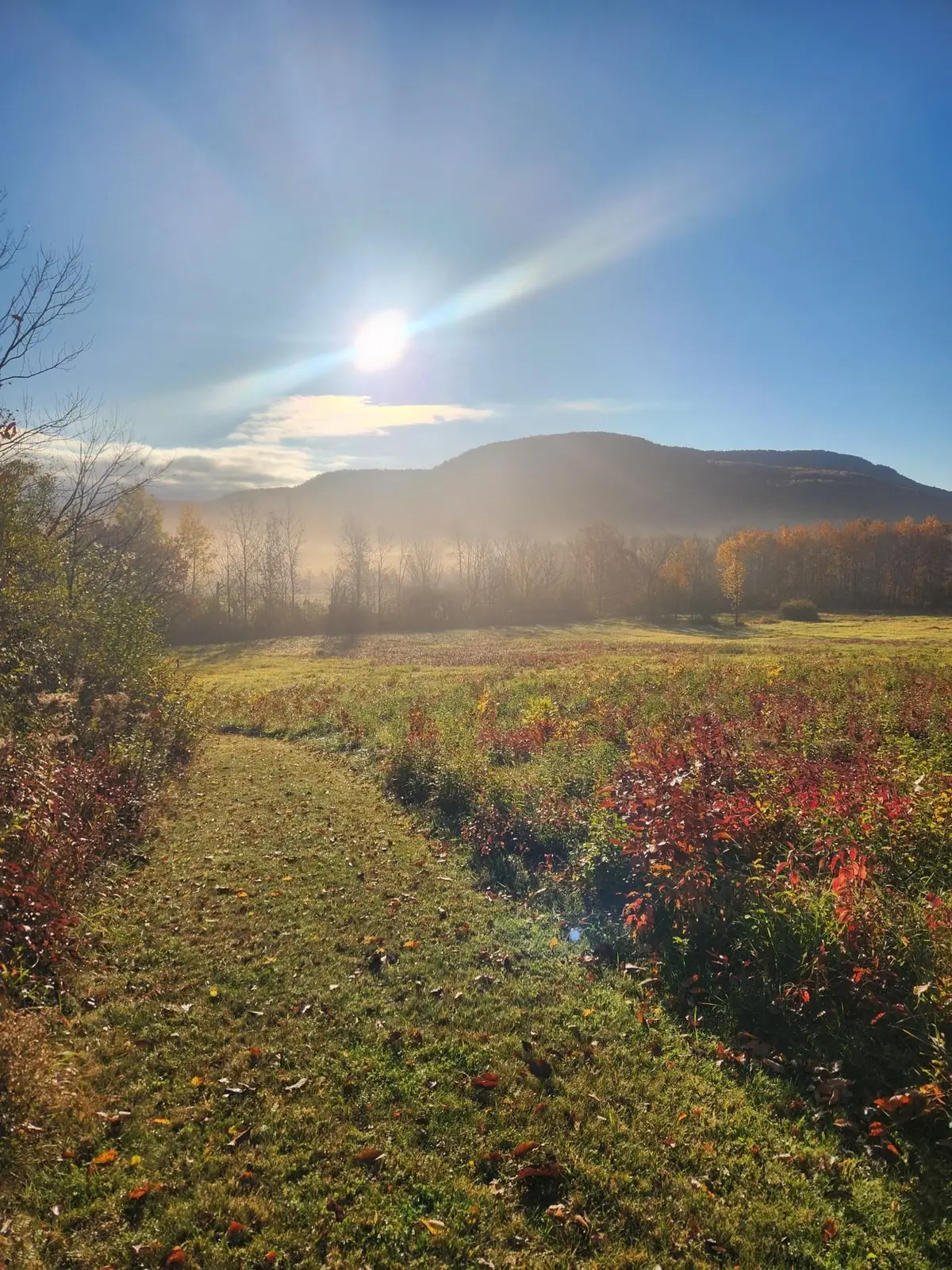 5195 Route 22 A, Addison, VT 05491 - #1