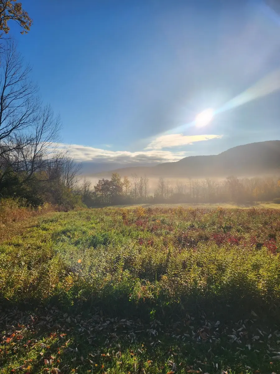 5195 Route 22 A, Addison, VT 05491 - #2