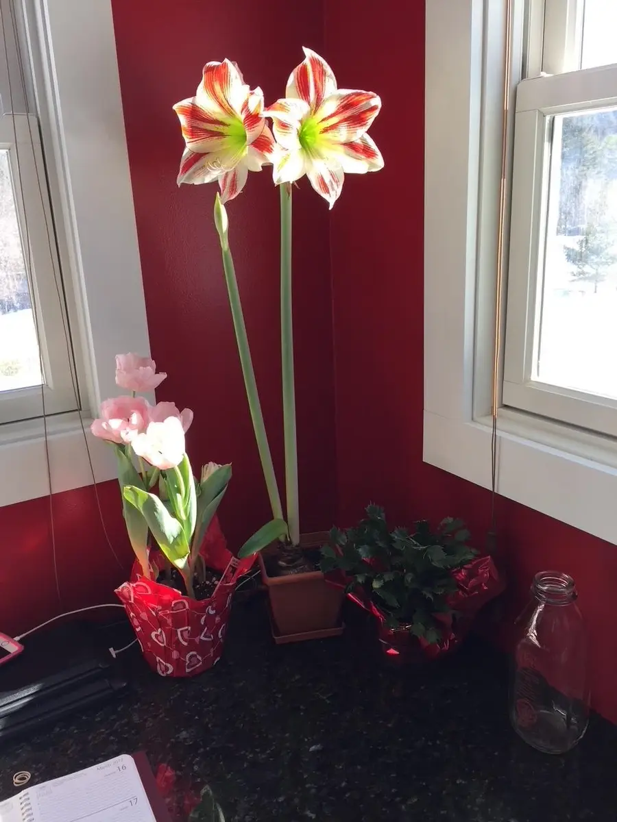 137 Stratton Arlington Road, Wardsboro, VT 05360 - #3