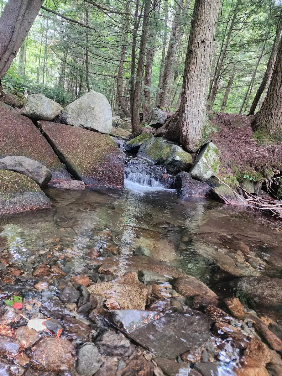 00 Piermont Heights Road #Lot 24, Piermont, NH 03779 - #3