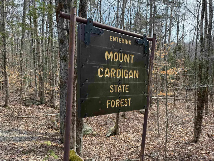 Hoyt Hill Road, Orange, NH 03741 - #3