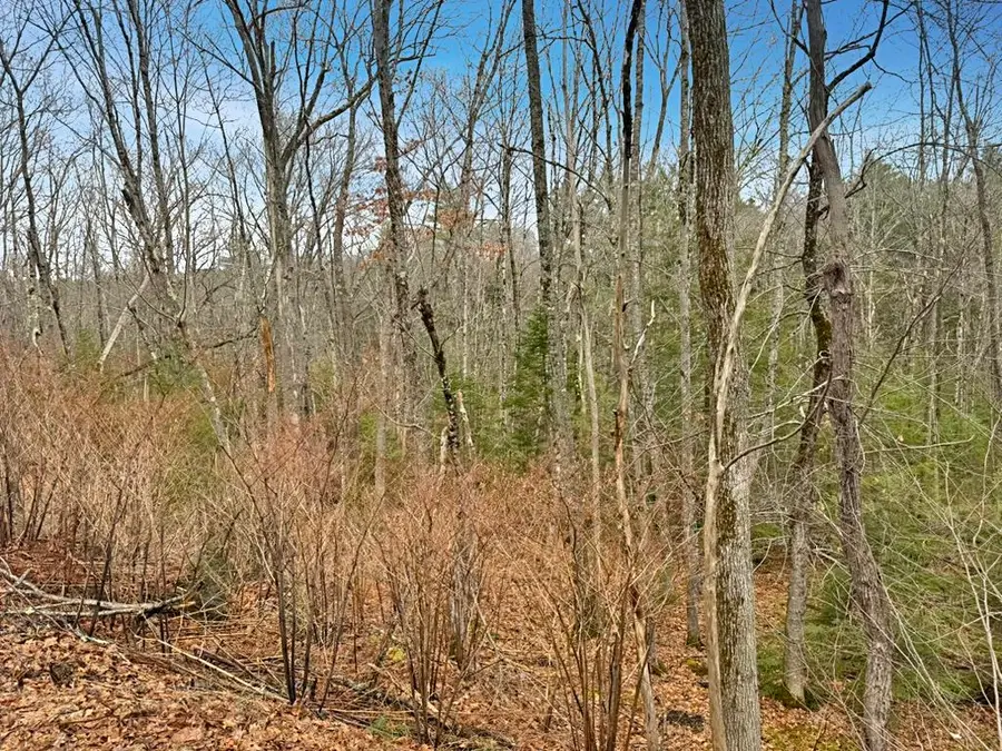 78 Hopper Road, Milton, NH 03851 - #3