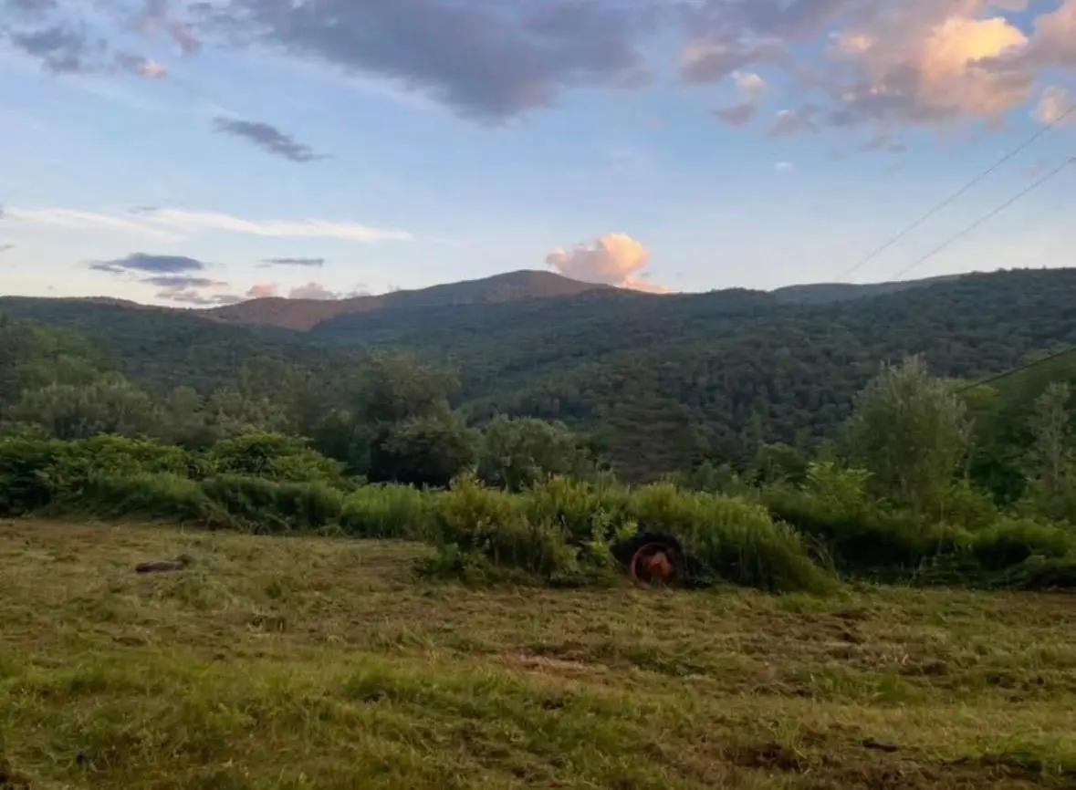 00 Fassett Hill #1, Hancock, VT 05748 - #1