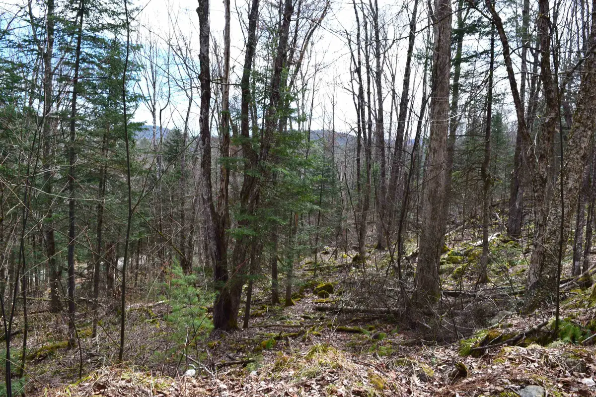 Lot 177 Belknap Drive, Haverhill, NH 03765 - #1