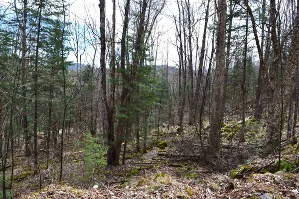 Lot 177 Belknap Drive, Haverhill, NH 03765