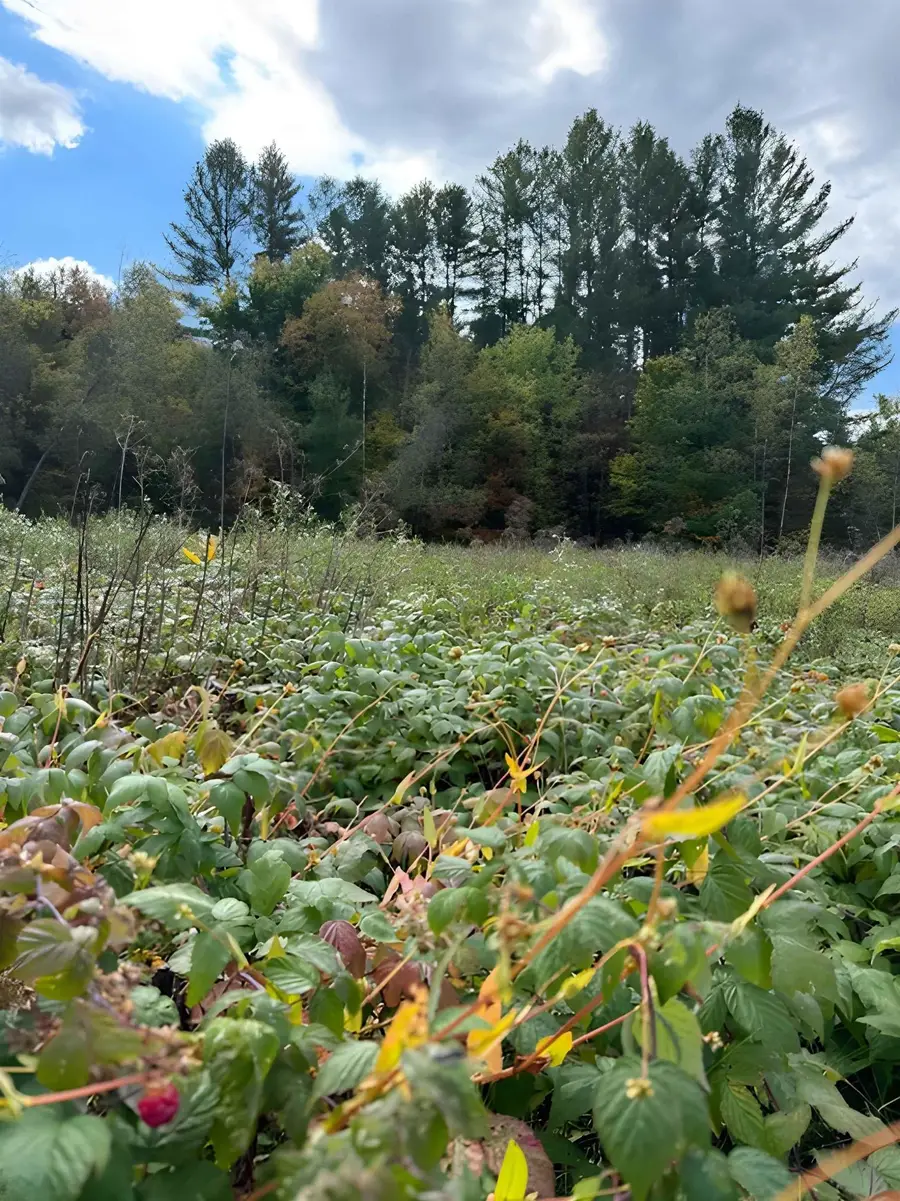 843 River Road, Troy, VT 05859 - #2