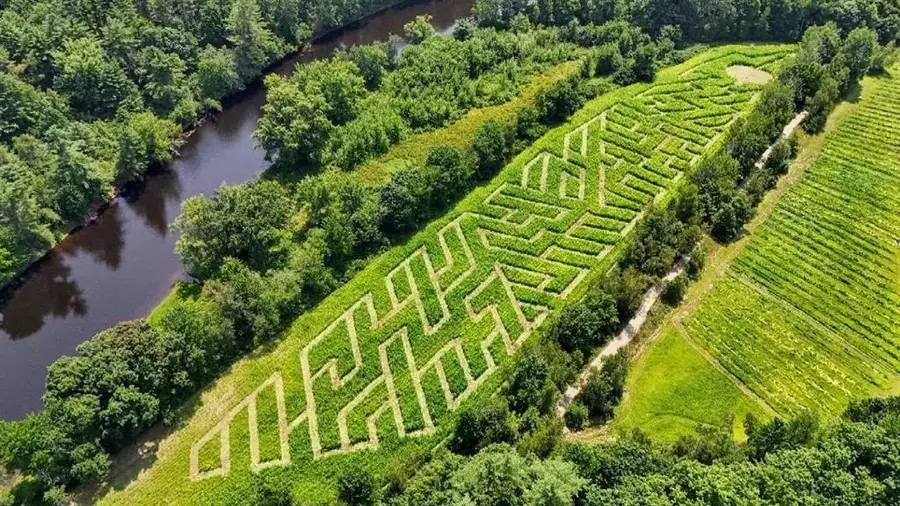 279 Henniker Street, Hillsborough, NH 03244 - #3