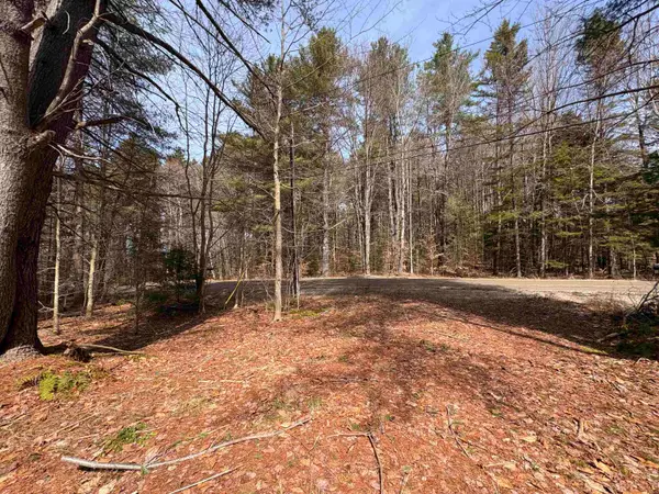 70 Deer Hill Road #Lots 4 & 9, Whitingham, VT 05361