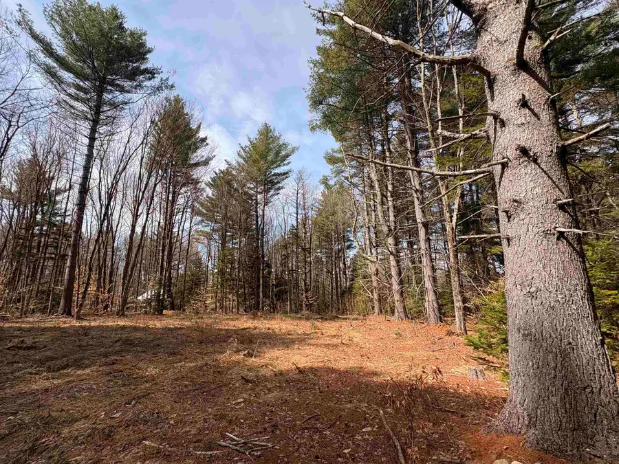 70 Deer Hill Road #Lots 4 & 9, Whitingham, VT 05361 - #3